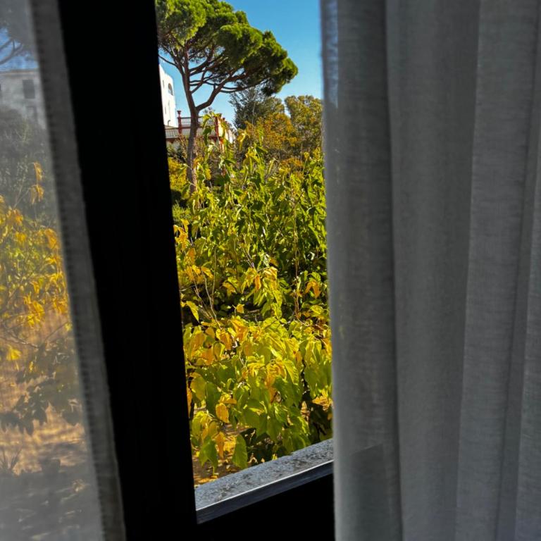 Mas Ribas Hotel i Esdeveniments - Double Room with Balcony - 6