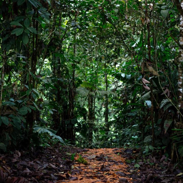 Casa Luciérnaga - Habitación Doble - 3