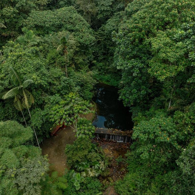 Casa Luciérnaga - Habitación Doble - 5