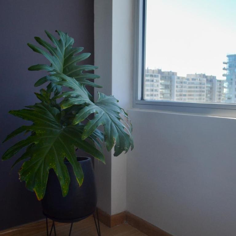 2 ambientes con Amenities y Vista al Río - Apartamento de 1 dormitorio - 63