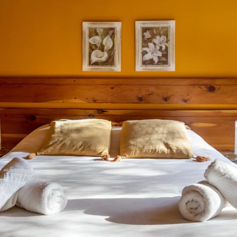 Apart Hotel Altos de Antilhue - Apartamento con vistas al parque - 30