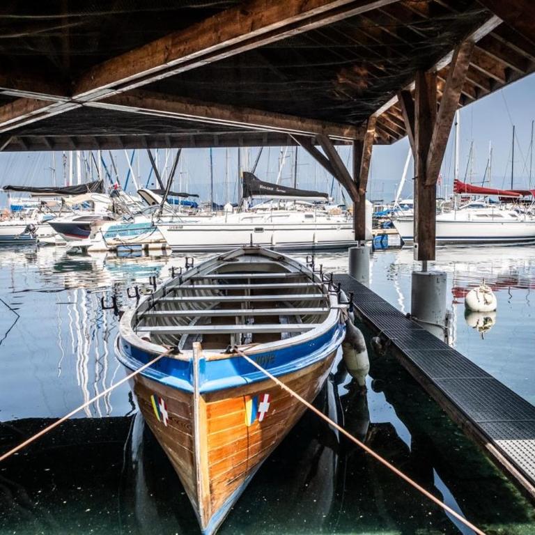 La Résidence Fleurie, vue sur le Lac Léman - Apartment mit 1 Schlafzimmer - 54