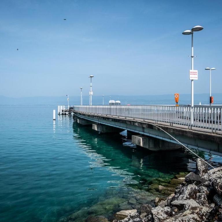 La Résidence Fleurie, vue sur le Lac Léman - Apartment mit 1 Schlafzimmer - 53