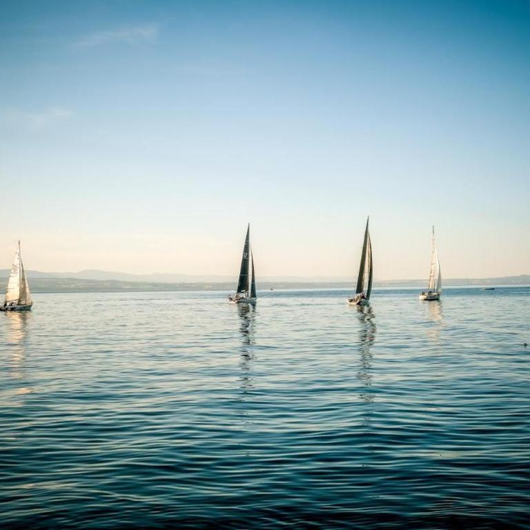 La Résidence Fleurie, vue sur le Lac Léman - Apartment mit 1 Schlafzimmer - 52