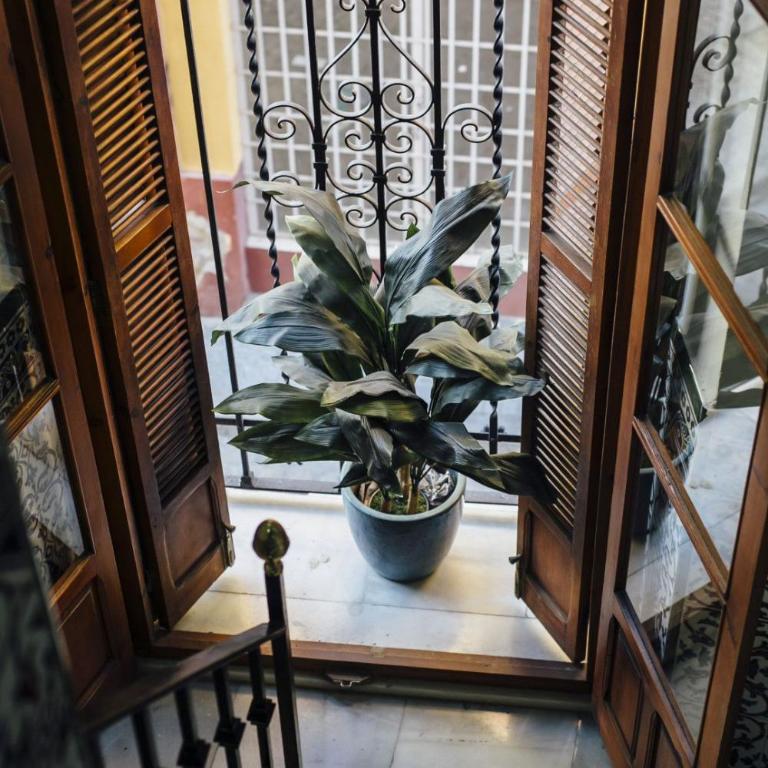 Bright Renovated Full of Natural Light 2BR 2BA - Apartment - 33
