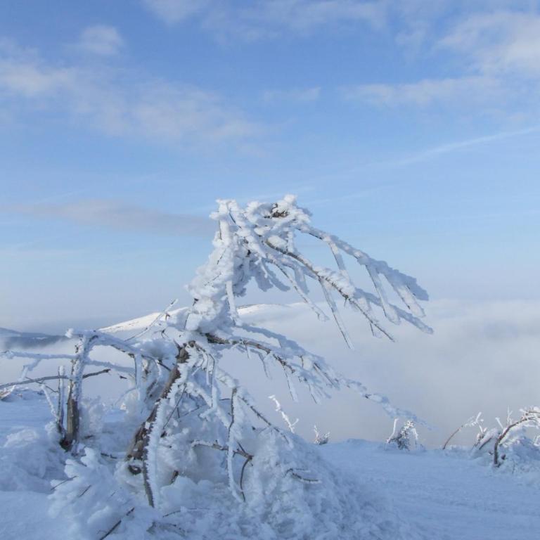 Deluxe Mountain View Studio ViS in Residence Hill Hotel Kopaonik - One-Bedroom Apartment - 31