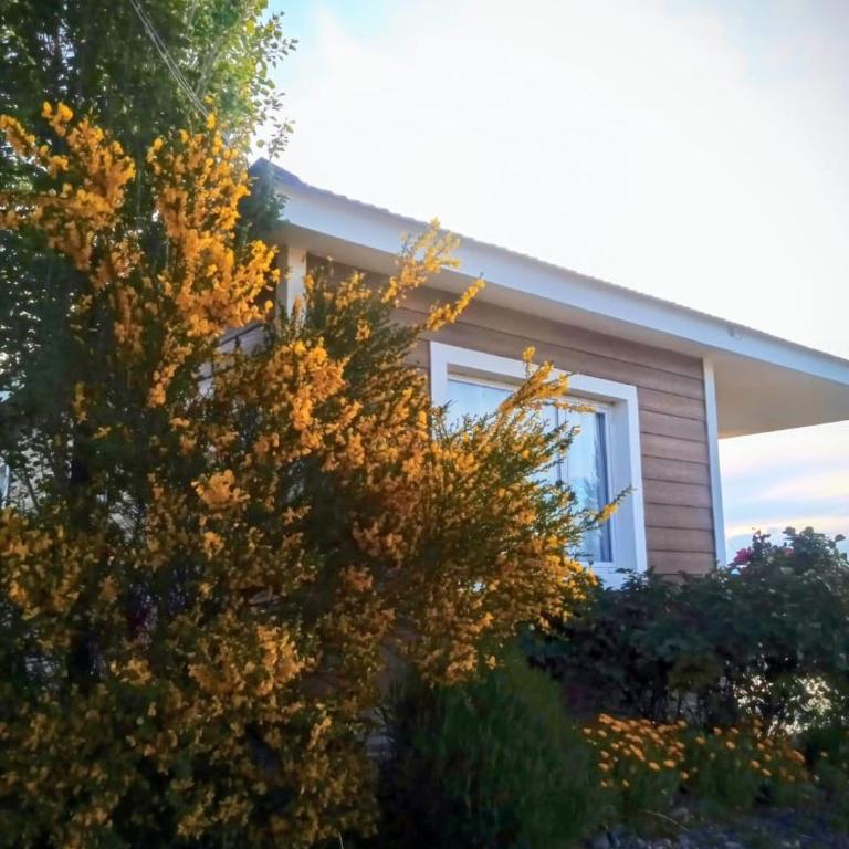 Cabañas Aluen - Chalet - 15