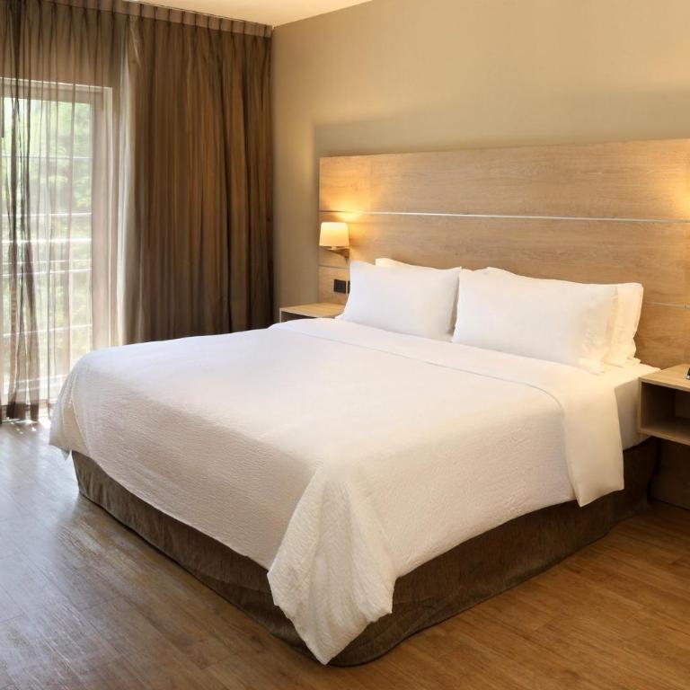 Holiday Inn Express Monterrey Galerias-San Jeronimo by IHG - Suite con cama extragrande - 3