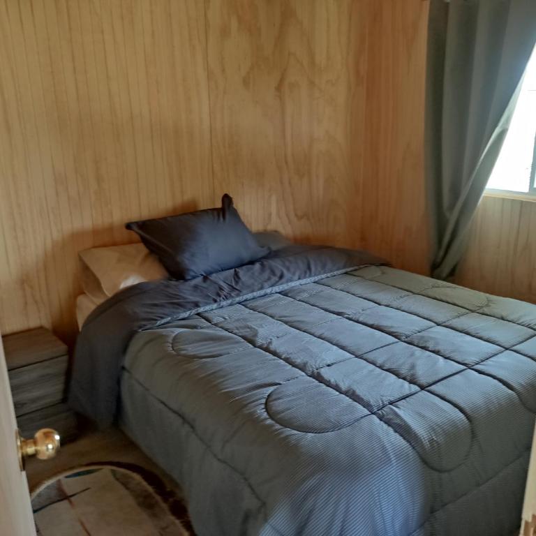Linda - One-Bedroom Apartment - 4