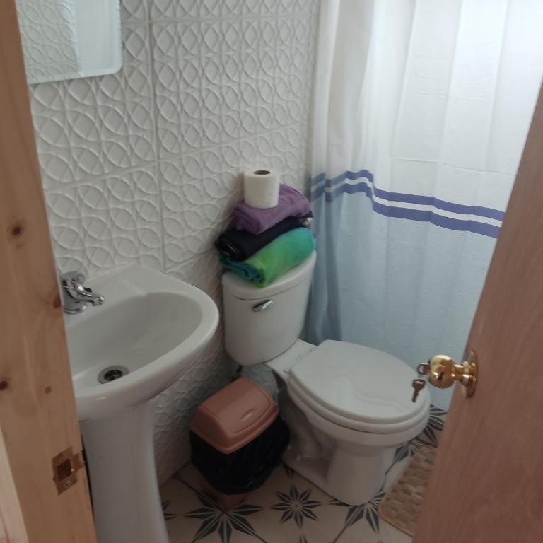 Linda - One-Bedroom Apartment - 5
