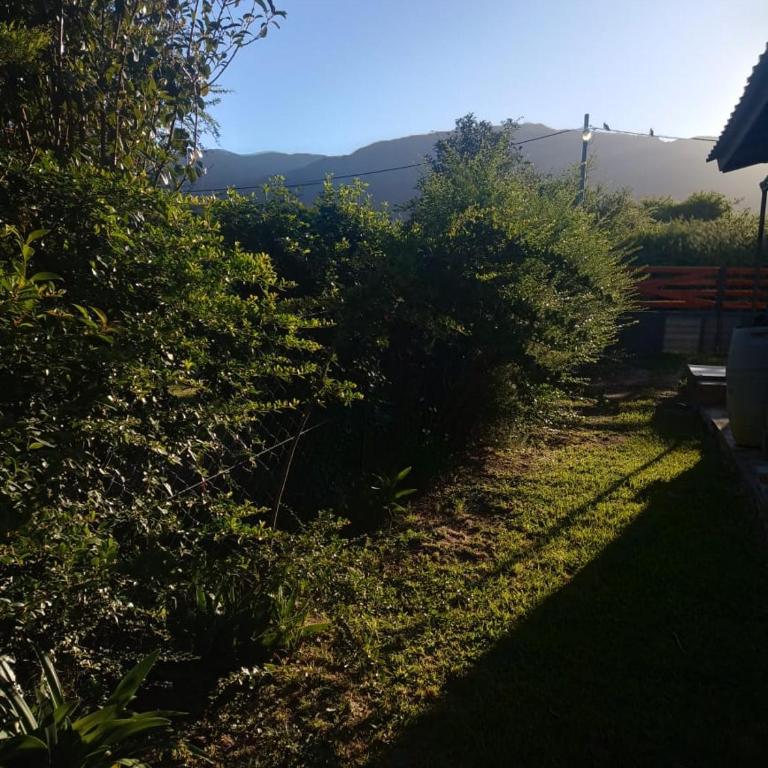 Los Peñi - Casa de 2 dormitorios - 6