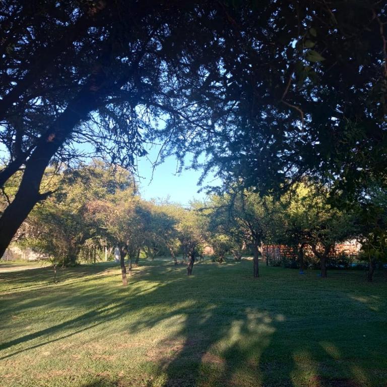 Los Peñi - Casa de 2 dormitorios - 19