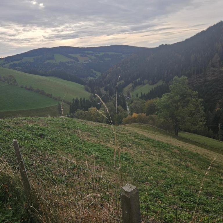 Gästehaus in ruhiger Lage zum Entspannen - Haus mit 4 Schlafzimmern - 51