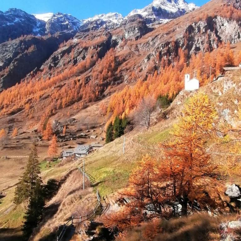 A-waay Stadel Walser Betta - Chalet con 2 Camere da Letto - 24