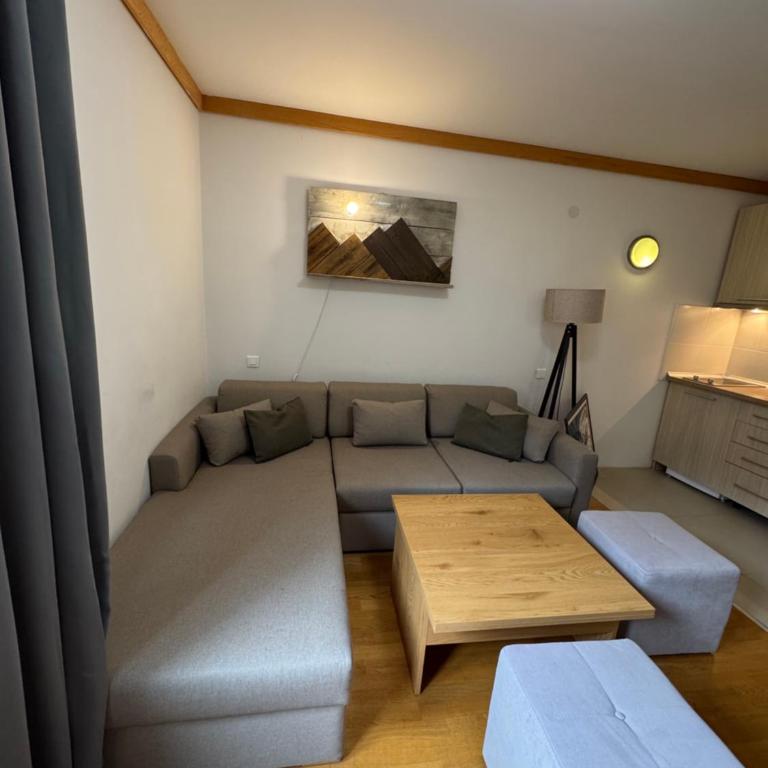 Apartment U345 - Aparthotel Vučko Jahorina - private host - One-Bedroom Apartment - 4