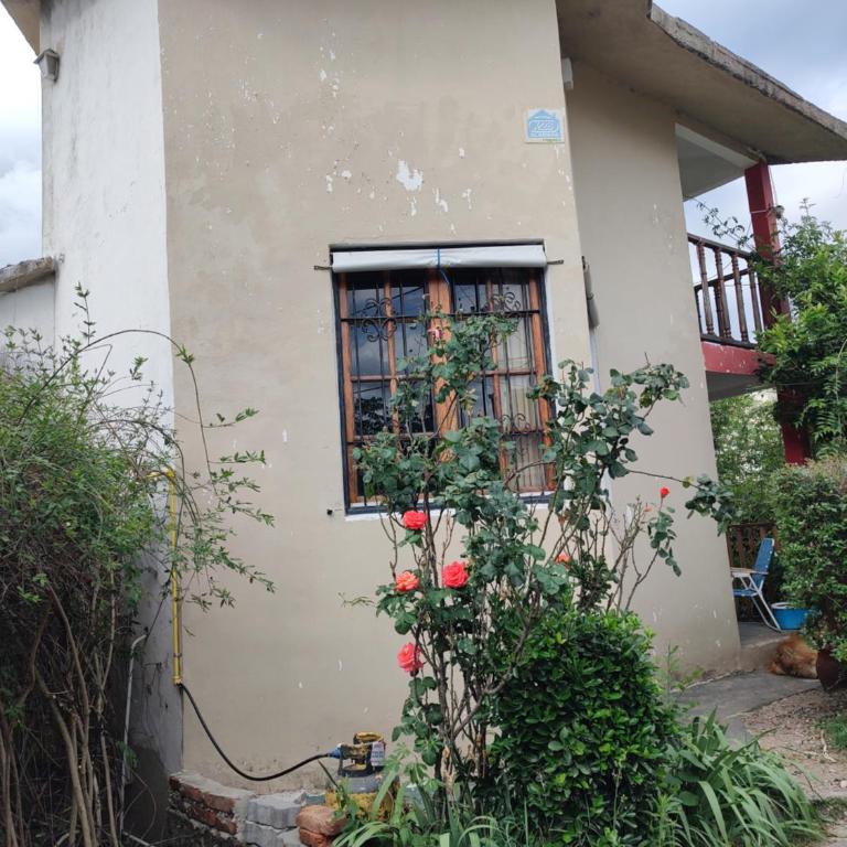 Departamento en Villa Carlos Paz - Apartamento de 1 dormitorio - 9