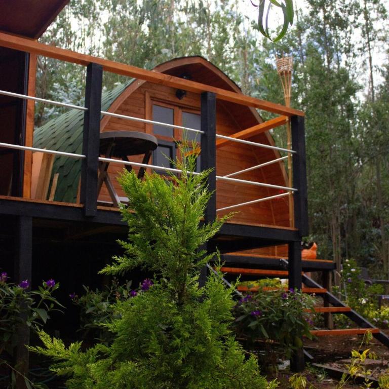 Silua Eco glamping - One-Bedroom House - 2