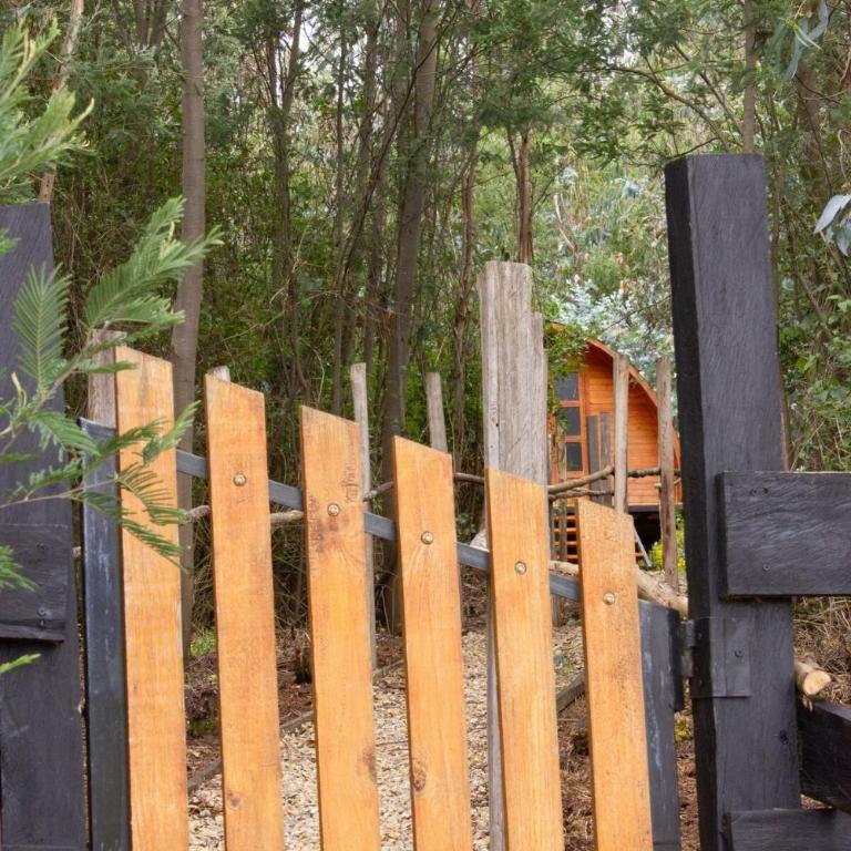 Silua Eco glamping - One-Bedroom House - 10
