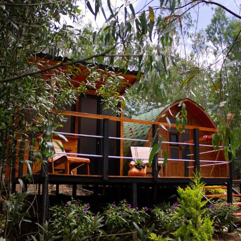 Silua Eco glamping - One-Bedroom House - 3