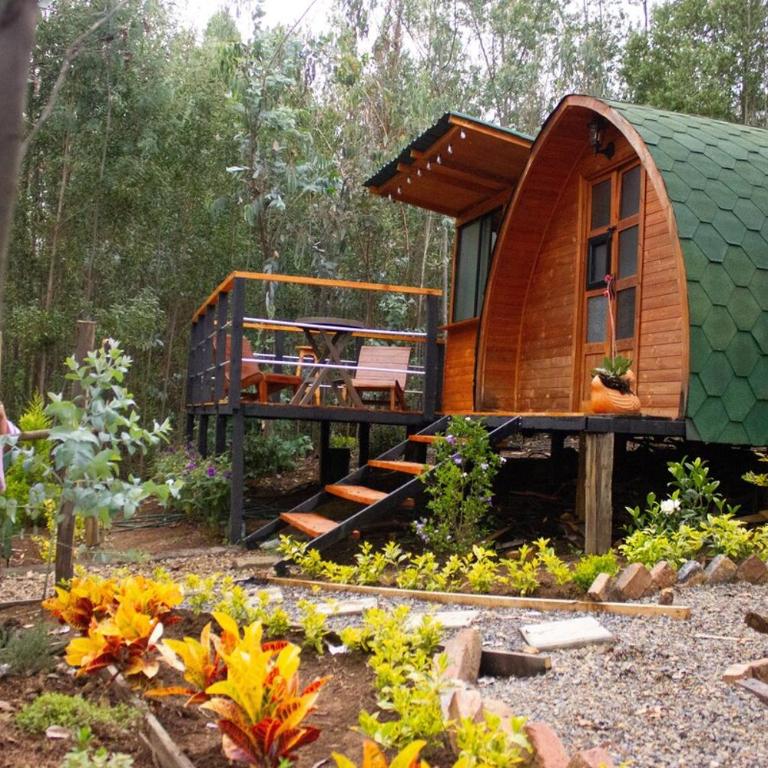 Silua Eco glamping - One-Bedroom House - 1