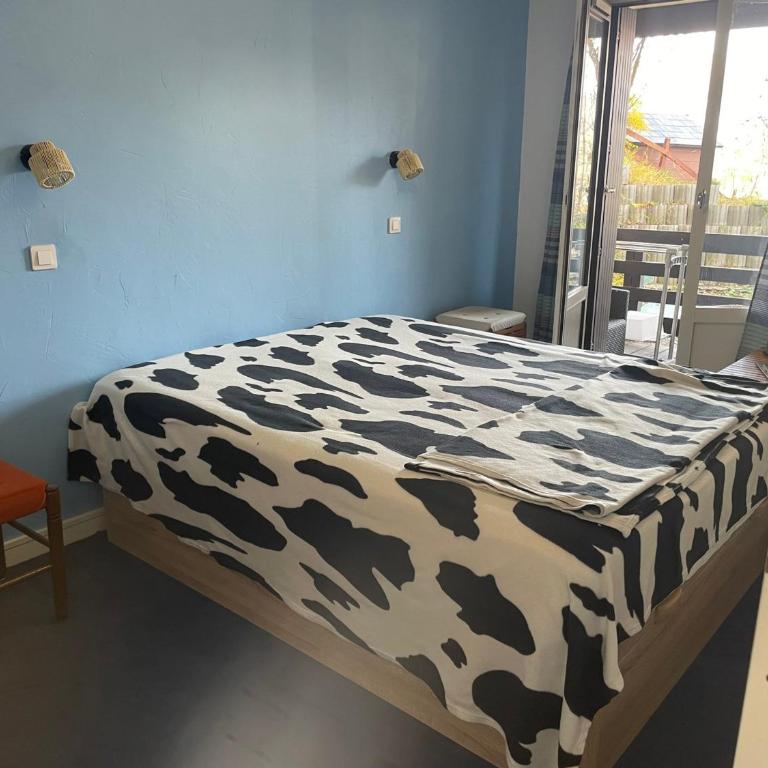 Pra-Loup 1600 - Appartement T2 pour 6 pers, centre station, prox. pistes - Appartement 1 Chambre - 3