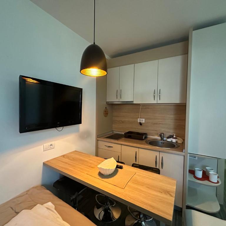 Apartments Konaci Kopaonik - Studio with Mountain View - 3