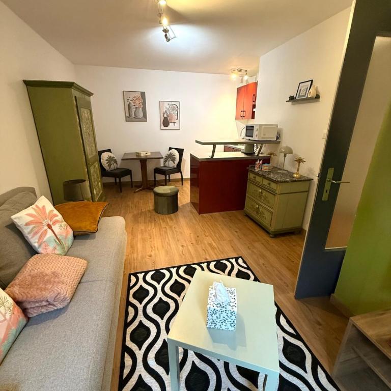 Bretzel Studio - Appartement 1 Chambre - 14