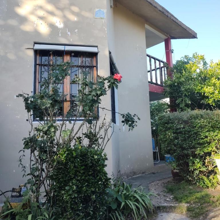 Departamento en Villa Carlos Paz - Apartamento de 1 dormitorio - 5