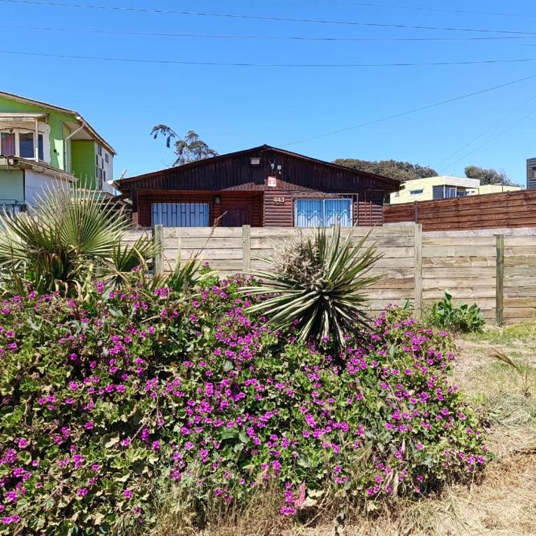 Beach house Pichilemu - Casa frente al mar - Two-Bedroom House - 20