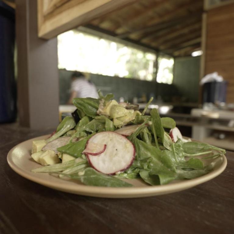 Montés Samaná - Suite Familiar Deluxe - 4