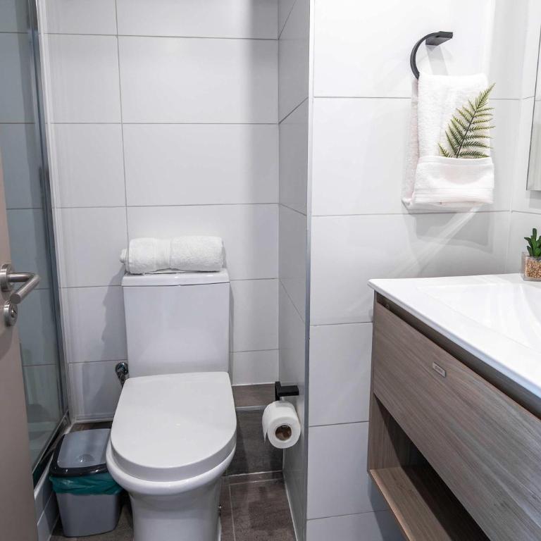 HOM I Terraza Metro Irarrazaval Wifi Nunoa - Apartment - 34