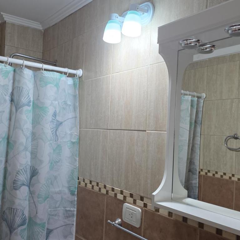 San Bernardo Centro - One-Bedroom Apartment - 14