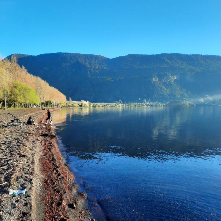 Habitación doble - Apartamento de 1 dormitorio - 16