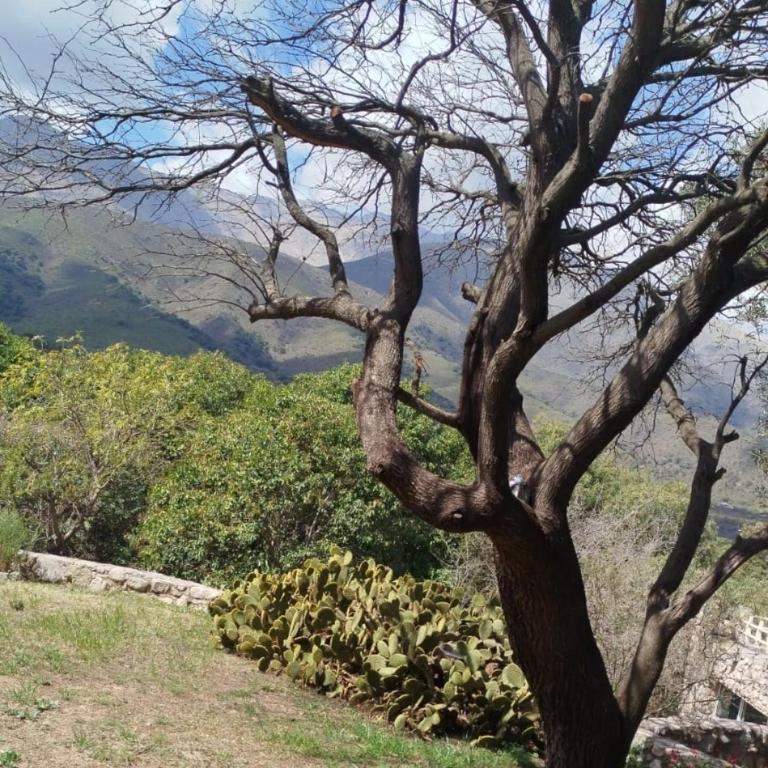 DonPedro - Casa de 2 dormitorios - 2