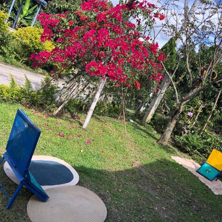 Family getaway via San Javier Alto del Frisol - Casa de 4 dormitorios - 5