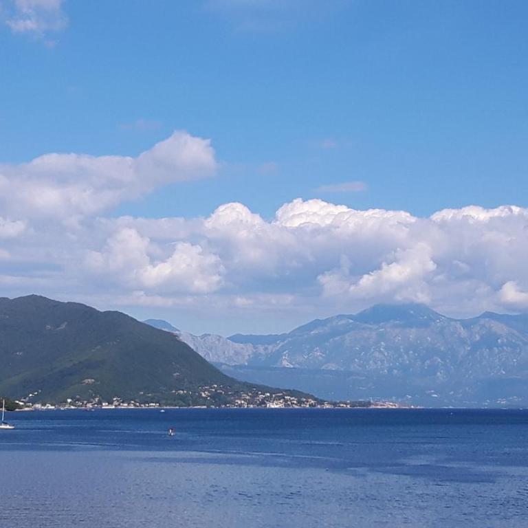 Apartments Sutorina - One-Bedroom Apartment with Balcony and Sea View - 21