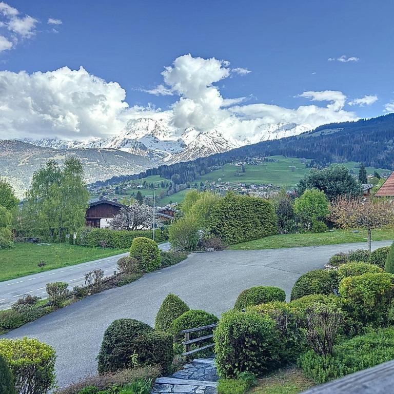 Appartement proche village, accès ski bus, vue Mont Blanc - Appartement 1 Chambre - 12