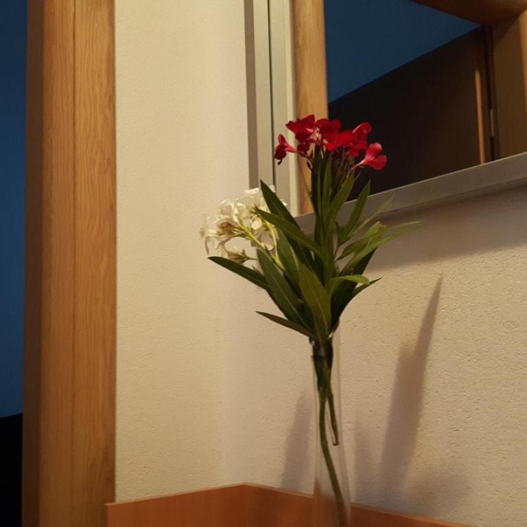 Apartments Sutorina - One-Bedroom Suite - 24