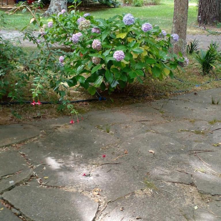 PURA VIDA - Amazing Villa with 4 bedrooms for up to 11 guests close to beach - Villa - 23