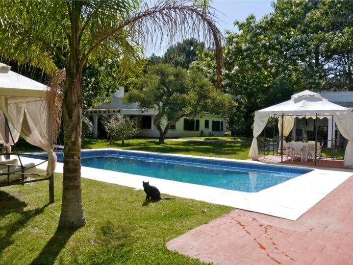 PURA VIDA - Amazing Villa with 4 bedrooms for up to 11 guests close to beach - Villa - 52