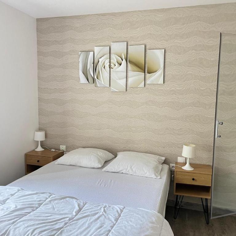 Villa Blanche appartement 2 - Appartamento con 2 Camere da Letto - 15