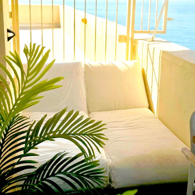 Neptuno Beachfront Apartments - Apartamento Ático - 3