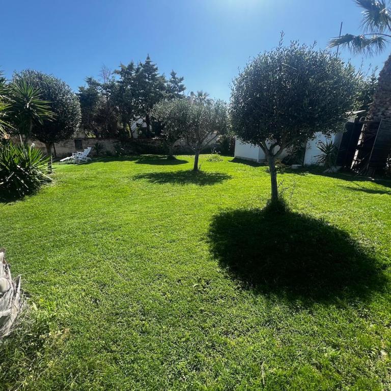 Villa Vulcano - Le Ville del Mediterraneo - Villa de 1 dormitorio - 23