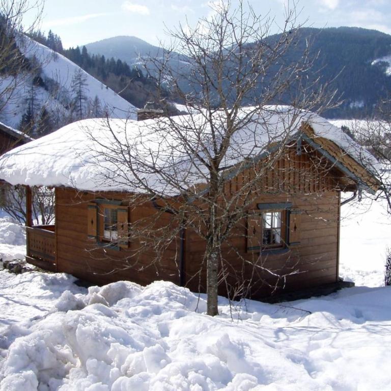 Zirbenhütte - Ferienhaus - 1