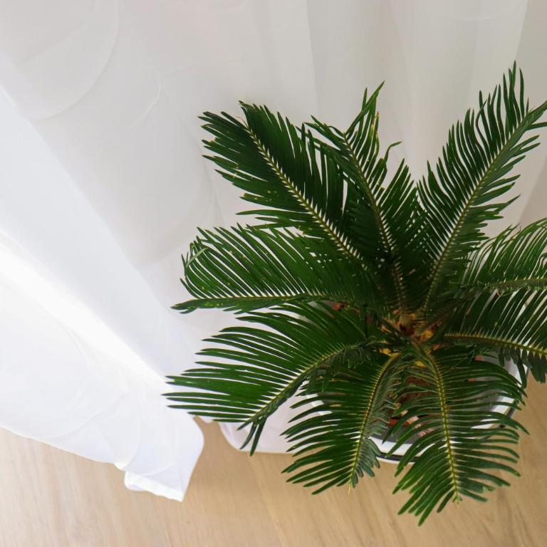 Janna I - Your Cozy Family Stay - Apartamento de 1 dormitorio - 26