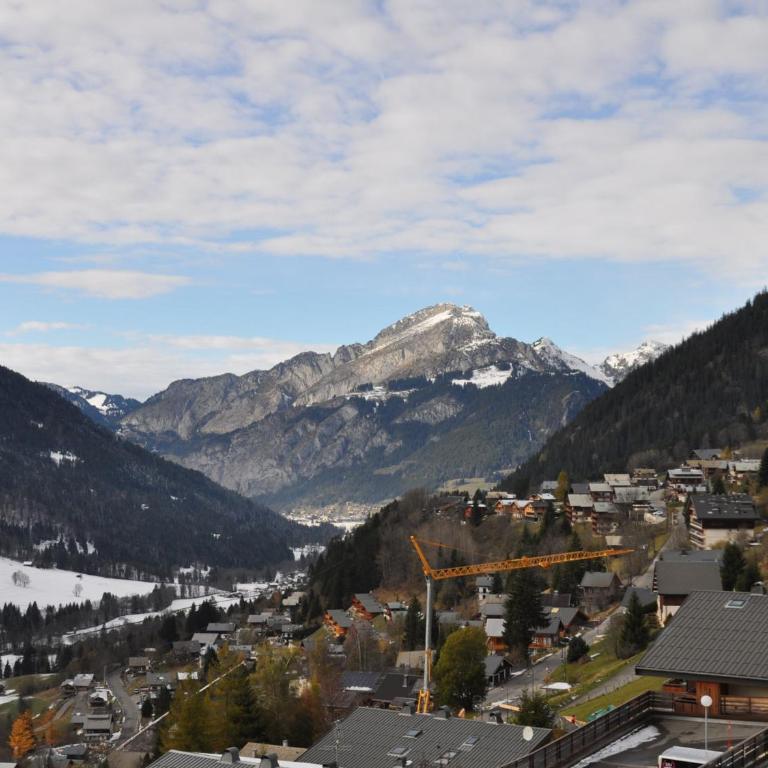 Spacieux appartement avec vue imprenable, parking et WIFI à Châtel - FR-1-693-28 - Appartement - 10