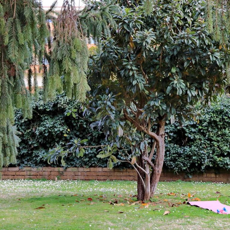 Dream Rome Aurelia apt pool&parking - Apartment mit 1 Schlafzimmer - 26