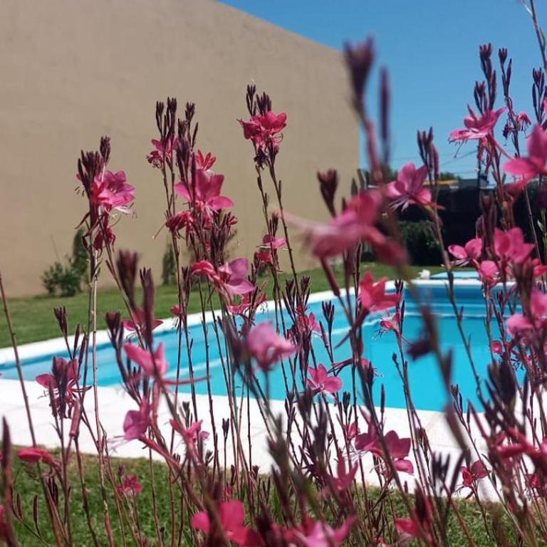 Casa quinta Chivilcoy - Casa de 2 dormitorios - 5