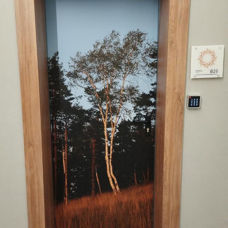 Vila Plamenac - Deluks Dvokrevetna Soba sa Bračnim Krevetom - 4