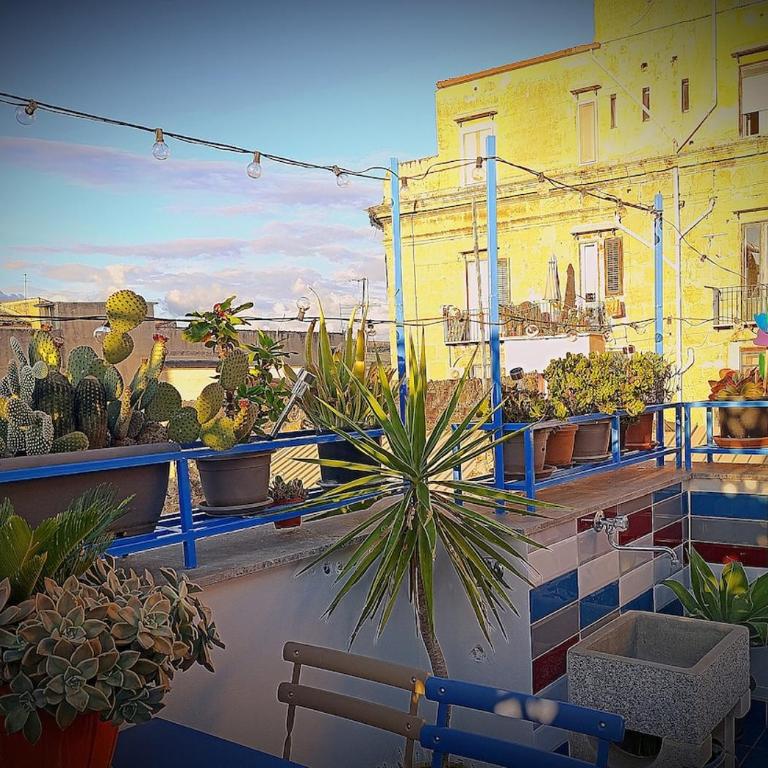 Casa Cutó near Central Station - Appartamento con 1 Camera da Letto - 1